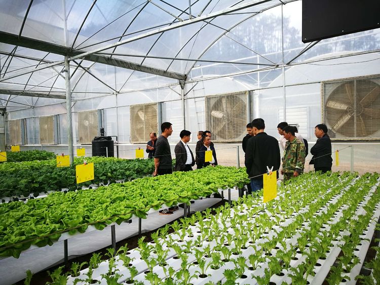 咸宁香城特色农业技术研究院取得竹纤维与塑料颗粒均匀混合装置专利避免竹纤维和塑料颗粒缠绕结块