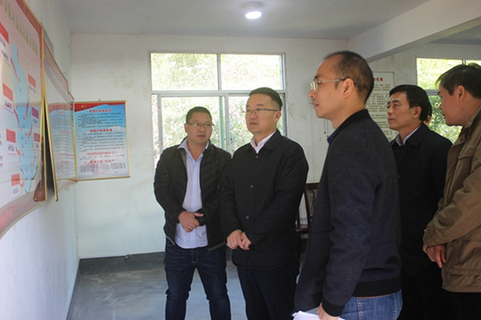 永定区委书记王金福深入堂堡湖雷调研脱贫攻坚工作