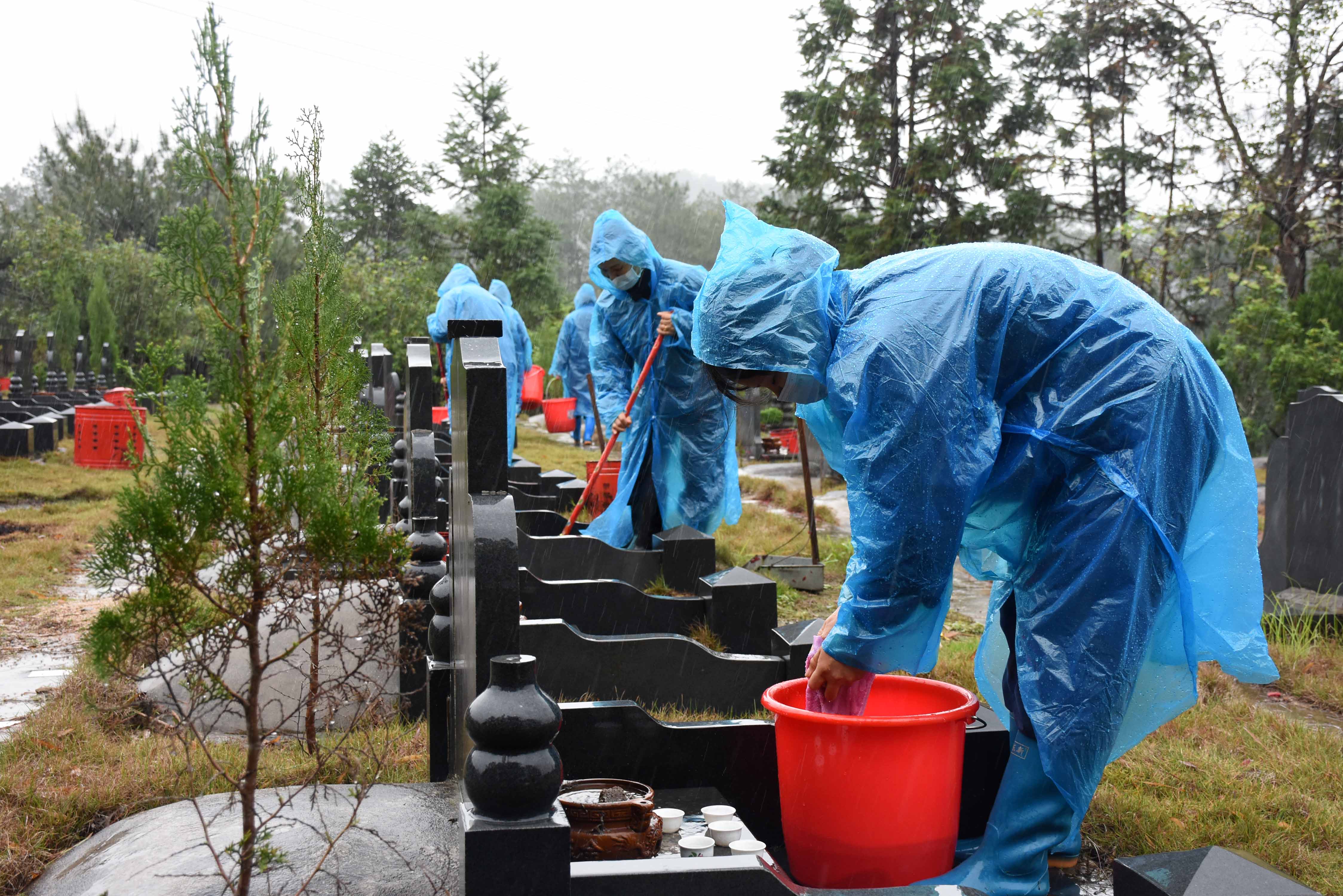 永定:别样清明别样情 文明祭扫树新风