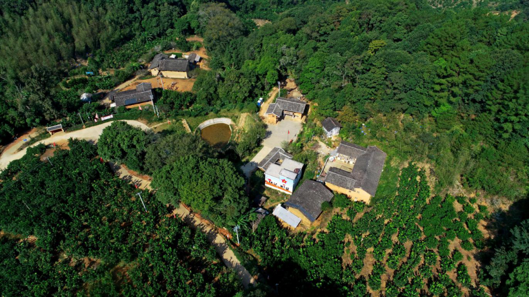 青山环绕的永定伯公凹更显得郁郁葱葱