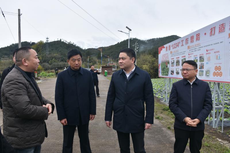 李强一行先后来到湖雷镇锦溪村,坎市镇碧溪村和培丰镇洪源村田间地头