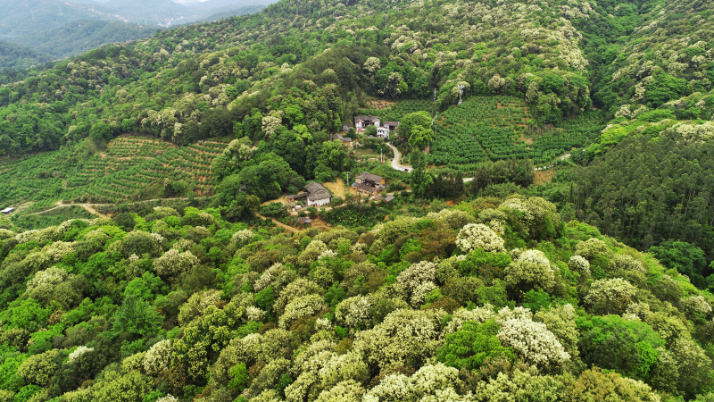 永定打造红色伯公凹乡村振兴迈新步