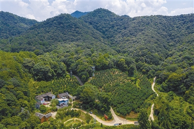 中央苏区红色交通线站点永定伯公凹