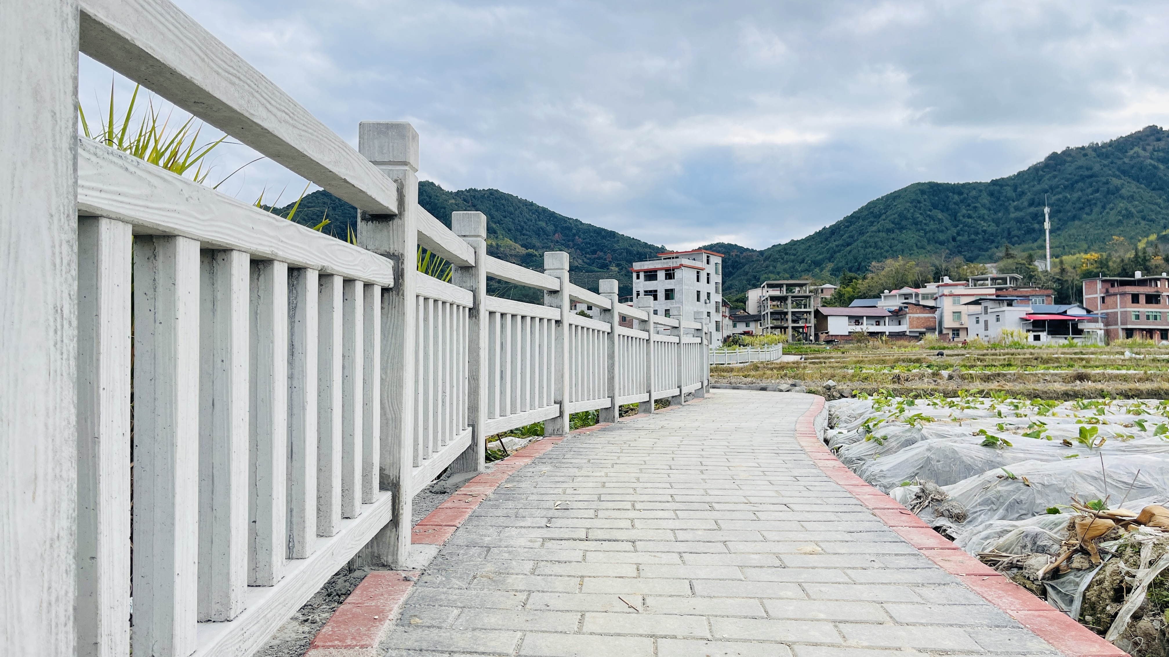 湖雷:治理水土流失 助力乡村振兴 -乡镇之窗-永定新闻网