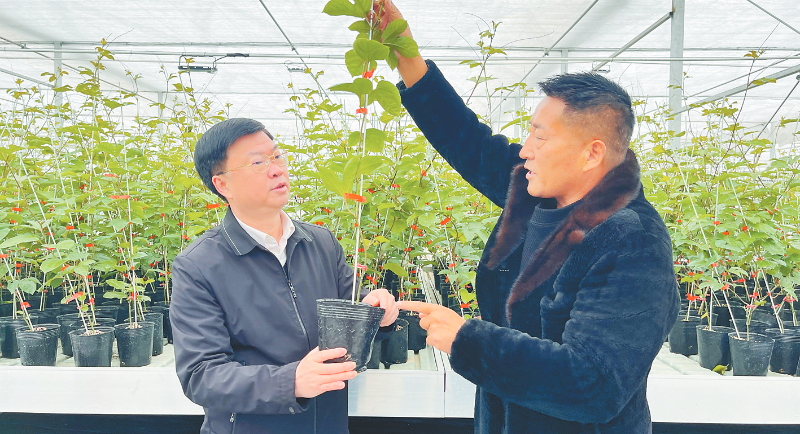 区园林绿化养护人员采取措施防范应对低温寒潮天气政策法规更多>>